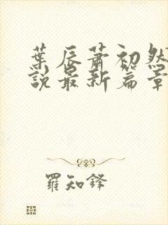 叶辰萧初然的小说最新篇章