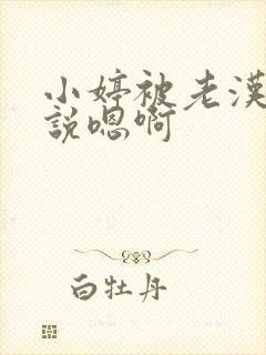 小婷被老汉插小说嗯啊