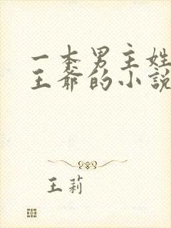 一本男主姓萧是王爷的小说