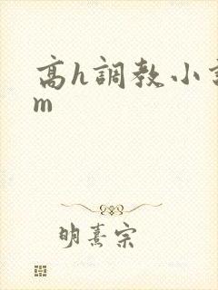高h调教小说sm