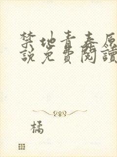 禁地青春原著小说免费阅读