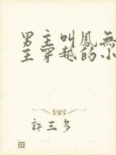 男主叫凤无殇女主穿越的小说