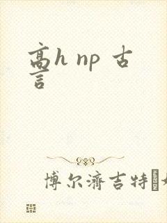 高h np 古言
