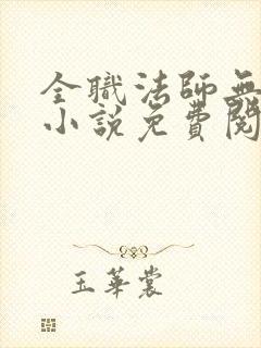 全职法师无弹窗小说免费阅读