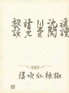 黎靖川沈遥初小说免费阅读最新章节封面