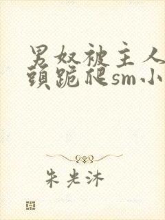 男奴被主人拽奶头跪爬sm小说