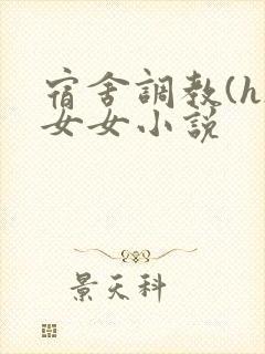 宿舍调教(h)女女小说封面