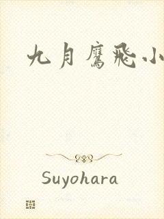九月鹰飞小说封面