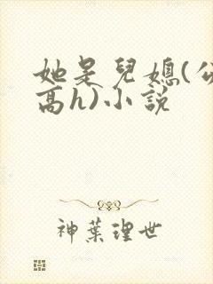 她是儿媳(公媳高h)小说封面