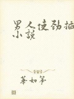 男人使劲插女人小说