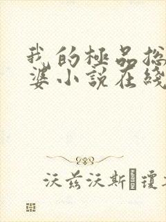 我的极品总裁老婆小说在线阅读