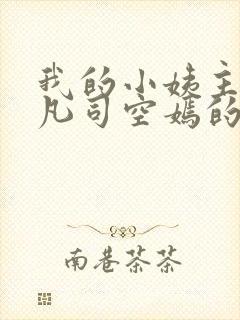 我的小姨主角叶凡司空嫣的小说