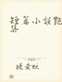 短篇小说艳情合集封面