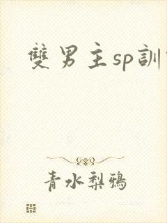 双男主sp训诫
