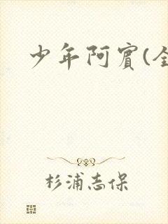 少年阿宾(全)