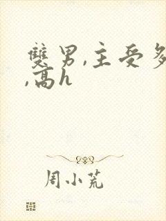 双男,主受多攻,高h