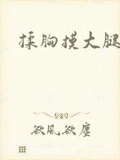 揉胸摸大腿小说