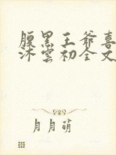 腹黑王爷喜当爹沐云初全文免费阅读