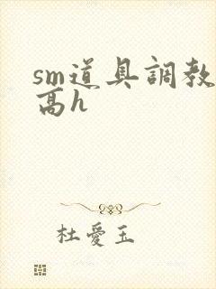 sm道具调教文高h