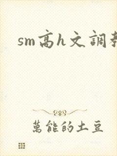 sm高h文调教封面