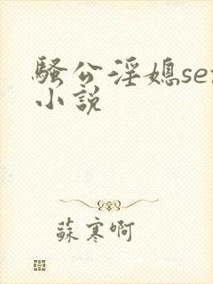 骚公淫媳sex小说封面