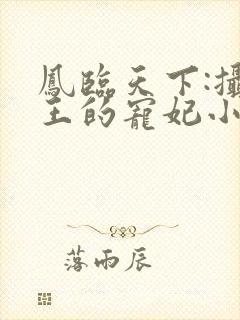 凤临天下:摄政王的宠妃小说小说