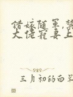 错嫁随军,禁欲大佬宠妻上瘾txt下载