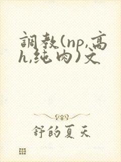 调教(np,高h,纯肉)文