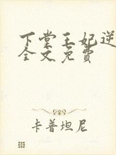 下堂王妃逆袭记全文免费