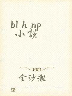 bl h np 小说