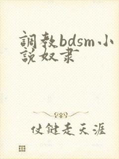 调教bdsm小说奴隶封面