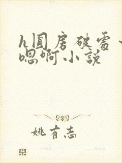 h圆房破处～h嗯啊小说