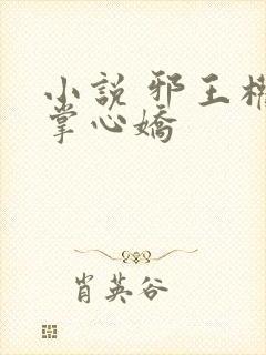 小说 邪王权宠掌心娇