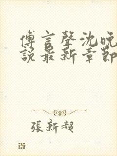 傅言声沈晚柔小说最新章节免费阅读