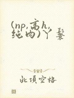 (np,高h,纯肉)丫鬟