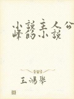 小说主人公叫林峰的小说