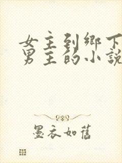 女主到乡下遇到男主的小说封面