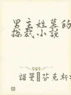 男主姓慕的所有总裁小说