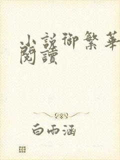 小说御繁华免费阅读