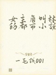 女主角叫林清婉的都市小说封面