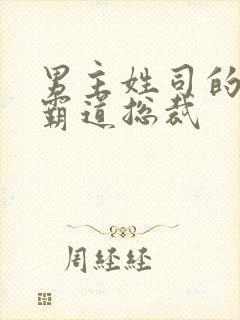 男主姓司的小说霸道总裁