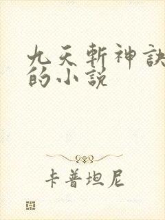 九天斩神诀林辰的小说