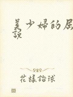美少妇的屈辱小说