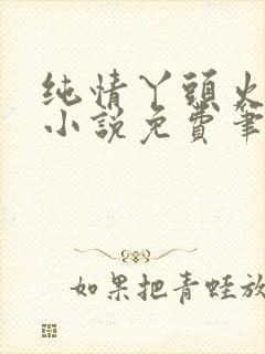 纯情丫头火辣辣小说免费笔趣阁