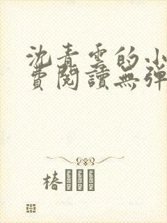 沈青云的小说免费阅读无弹窗全文最新章节封面