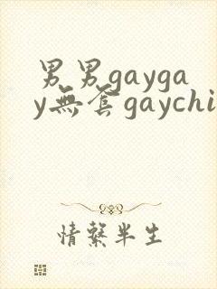 男男gaygay无套gaychina