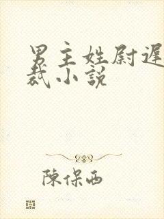 男主姓尉迟的总裁小说封面