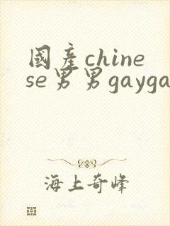 国产chinese男男gaygay网站, chinese
