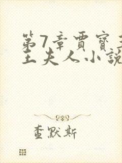 第7章贾宝玉上王夫人小说封面