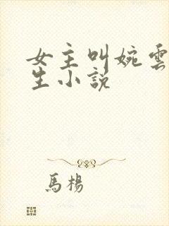 女主叫婉云的重生小说